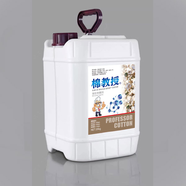 液小葡